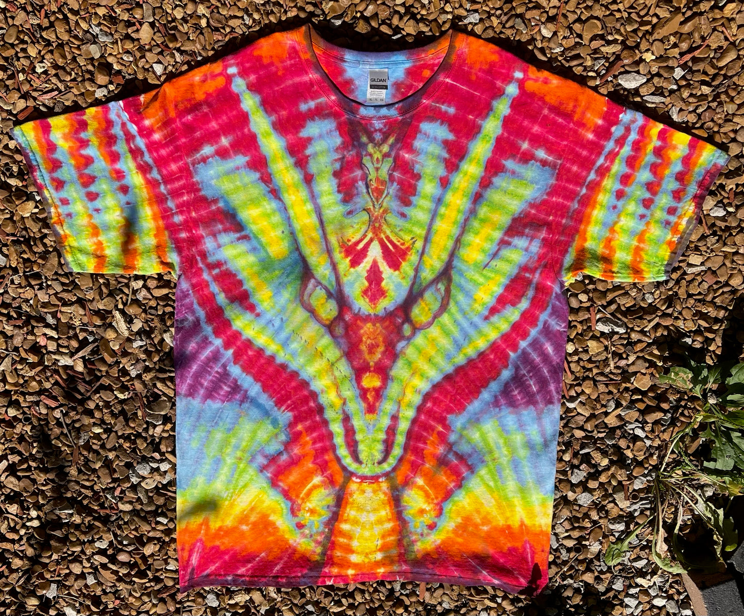 SkyDiArtist Fire Breathing Dragon Tie Dye T-Shirt